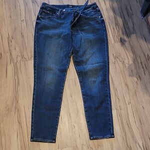 Express Dark Blue Skinny Jeans
